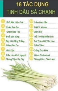 TINH DẦU THƠM NGÂN BÌNH