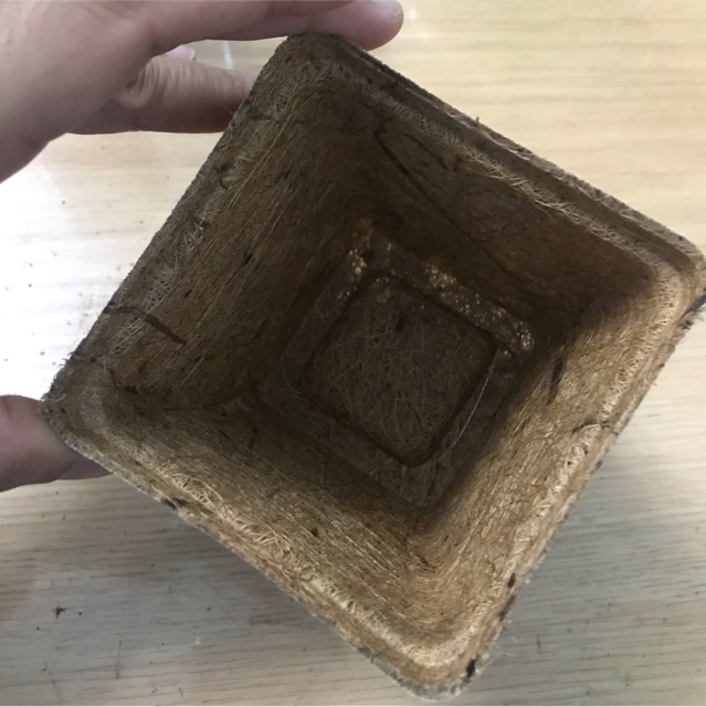 Chậu xơ dừa vuông nhỏ AN2001 - Square coir pot (M9cm x D6cm x C10cm)