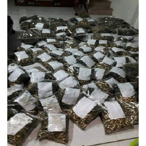 Chè vằng khô giảm cân lợi sữa gói 1kg | BigBuy360 - bigbuy360.vn