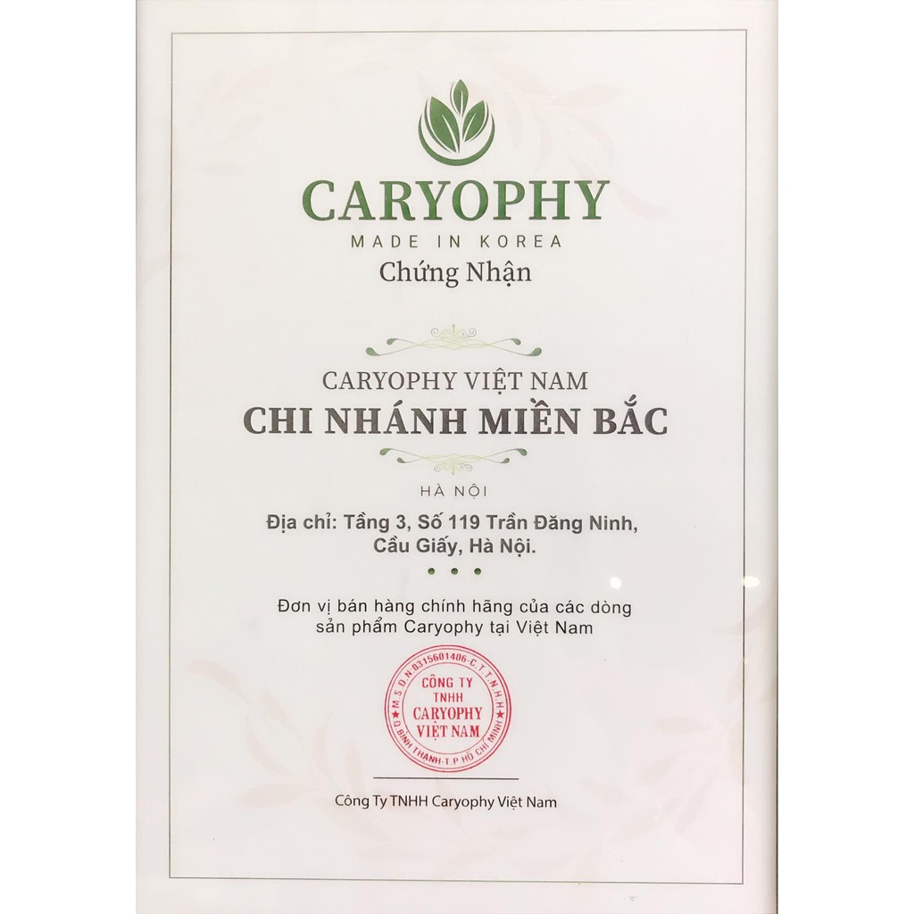 Combo Mặt Nạ Trị Mụn Chuyên Sâu Caryophy Portulaca Mask Sheet 22gr | BigBuy360 - bigbuy360.vn