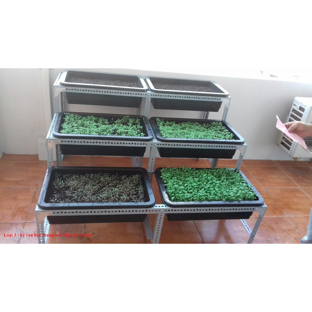 Thanh sắt V lỗ đa năng lắp giàn trồng rau sạch tại nhà, trên sân thượng với nhiều kích thước để bạn lựa chọn V33