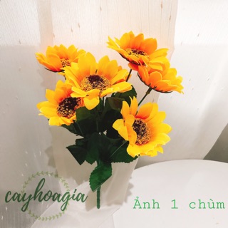 Combo 5 chùm hoa hướng dương lụa mã 088