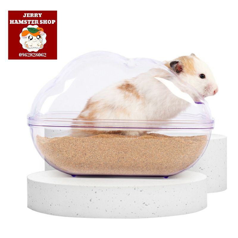 Nhà tắm đám mây trong suốt độc quyền cho hamster