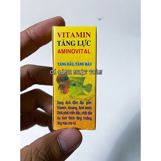 VITAMIN TĂNG ĐẦU, TĂNG MÀU CHO CÁ LA HÁN AMINOVITAL (MÃU MỚI)