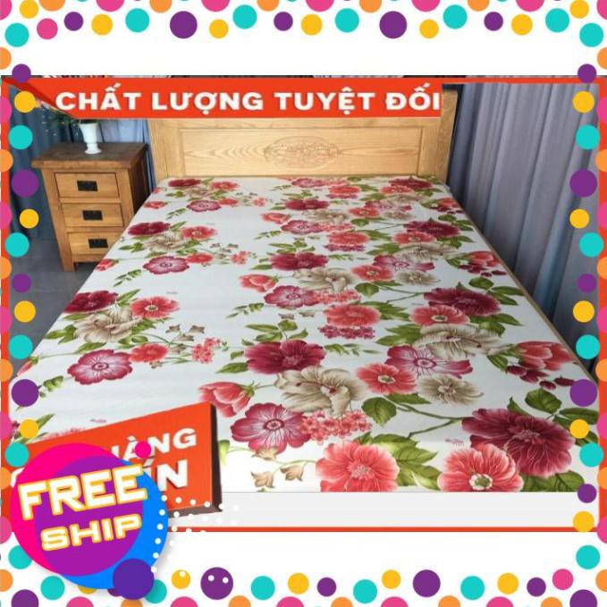 [XẢ HÀNG] Bộ Drap Thun Màu Hàn Quốc Mát Lạnh