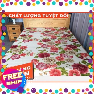 Bộ drap thun màu hàn quốc mát lạnh