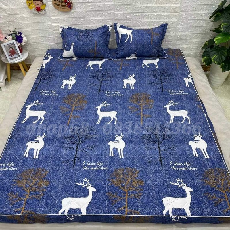 Ga trần bông ga chải giường ga chun bọc đệm chắc chắn | BigBuy360 - bigbuy360.vn