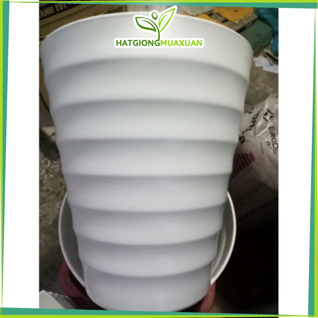 CHẬU NHỰA CƠ  ĐẠI TRỒNG CÂY 36X32 c/lượng, hg C/ty.