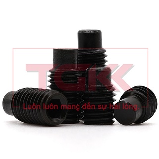 Vít trí đầu trụ thép đen M5 (20-30mm)