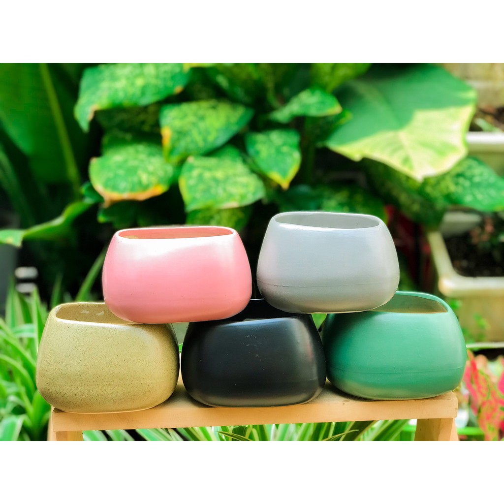 CHẬU CASA TRỒNG CÂY PHONG THỦY