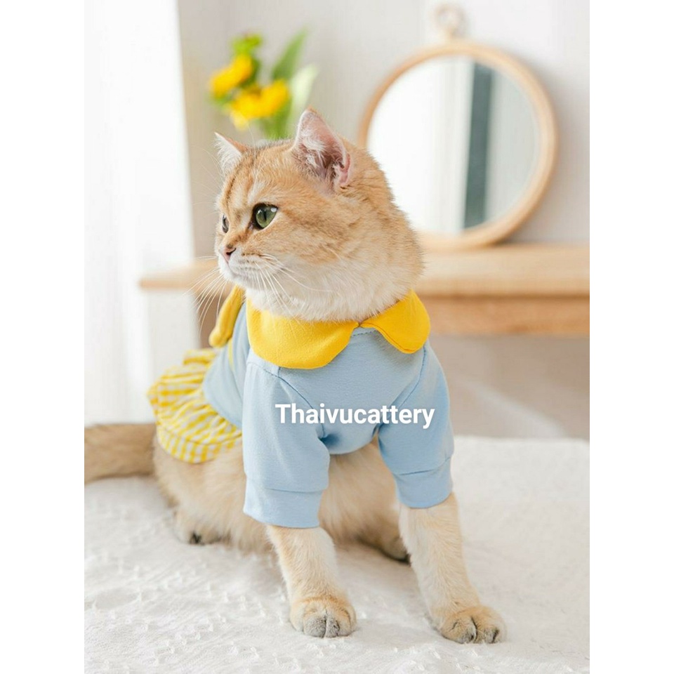 Áo nỉ  áo tết ấm áp cho chó mèo- Thaivucattery