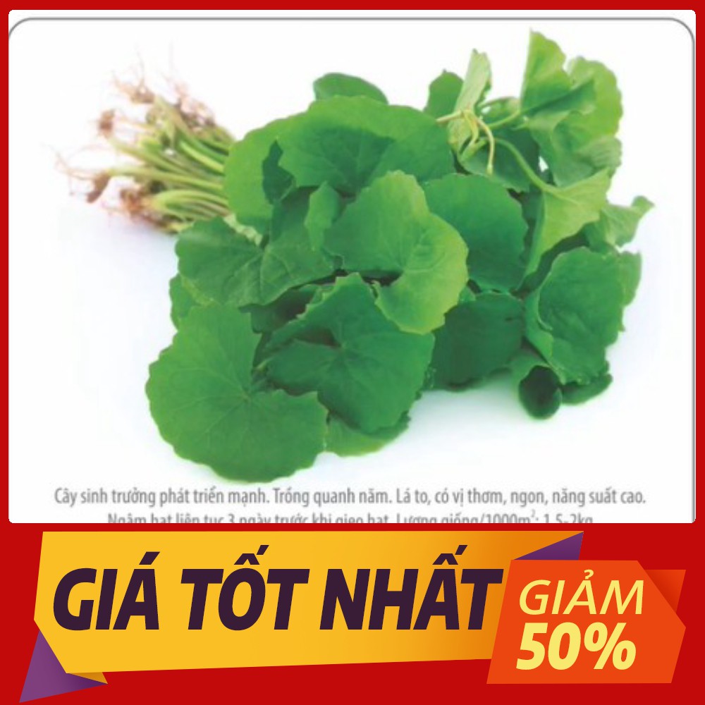 Hạt Giống Rau Má Lá To Gói (1gr)