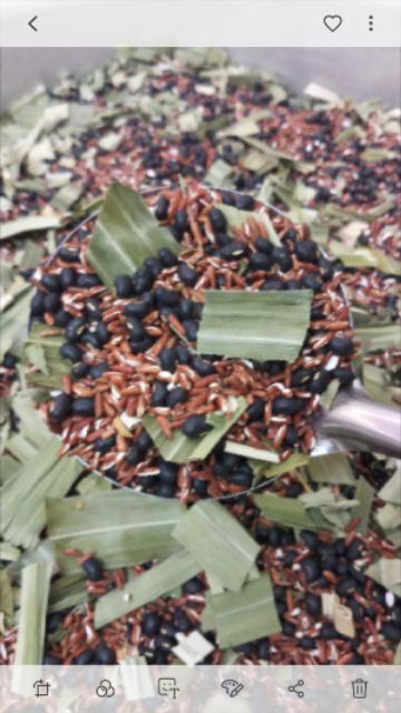 Trà đậu đen gạo lứt lá dứa (lá nếp thơm) keto dùng ko được