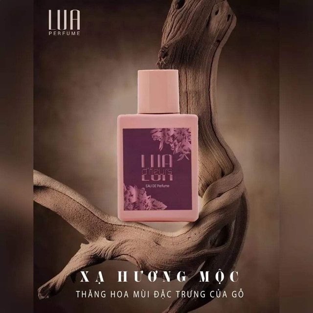 [BÁN SỈ] [GIÁ RẺ NHẤT] XẠ HƯƠNG MỘC 50ml – DẪN LỐI CẢM XÚC | Thế Giới Skin Care