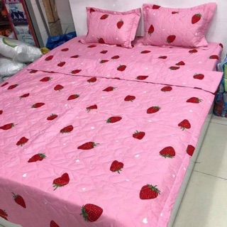 Bộ gra giường TRÁI DÂU poli m6.2m hàng tại xưởng không qua trung gian.ẢNH THẬT