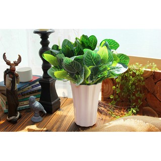 Cây nhựa pvc - Cây Bạc Hà