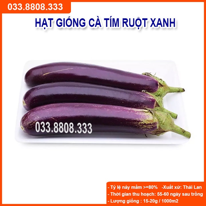Hạt Giống Cà Tím Ruột Xanh Dài  - Quả Dài Đặc Ruột