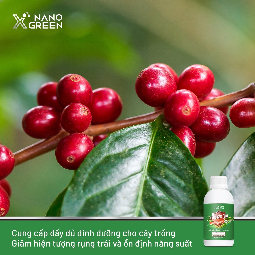 Nano kẽm (zn) Nano Xgreen cung cấp dưỡng chất ngừa rụng lá, rụng trái, vàng lá, bạc lá, lá bị biến dạng 100ML