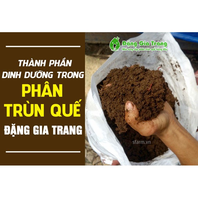 1kg Phân trùn Quế Sfarm Pb01 Phân trùn quế nguyên chất 100%