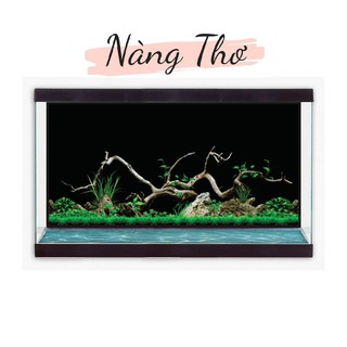 DECAL HỒ CÁ_TRANH 3D CÂY THUỶ SINH