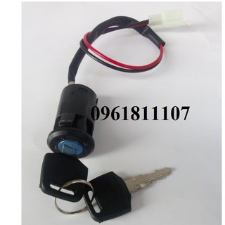 Combo chế xe điện 24V 250W