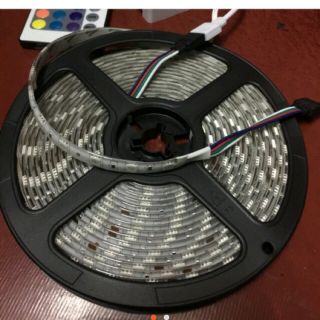 Dây led 24v RGB chống nước 5m/cuộn