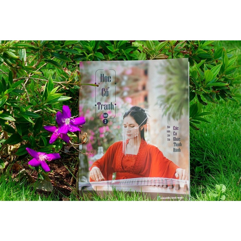 Guzheng  3