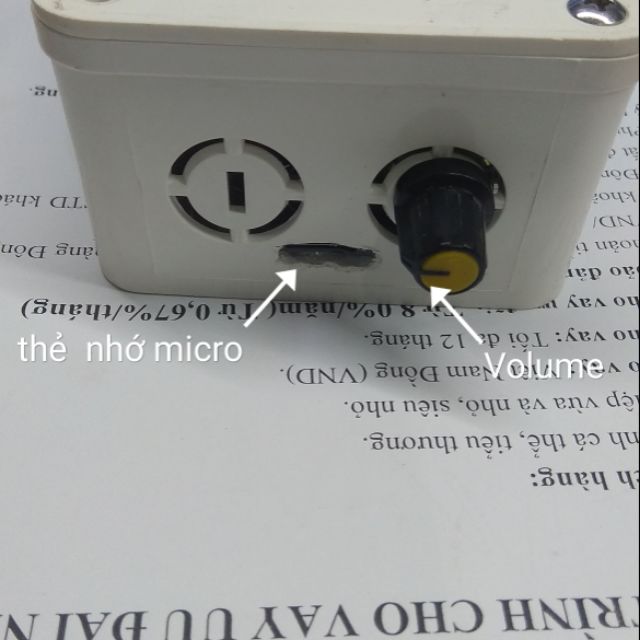 Amply bán hàng. rao hàng rong. Kích tiếng .