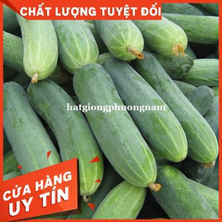 HẠT GIỐNG DƯA LEO - Còn hàng