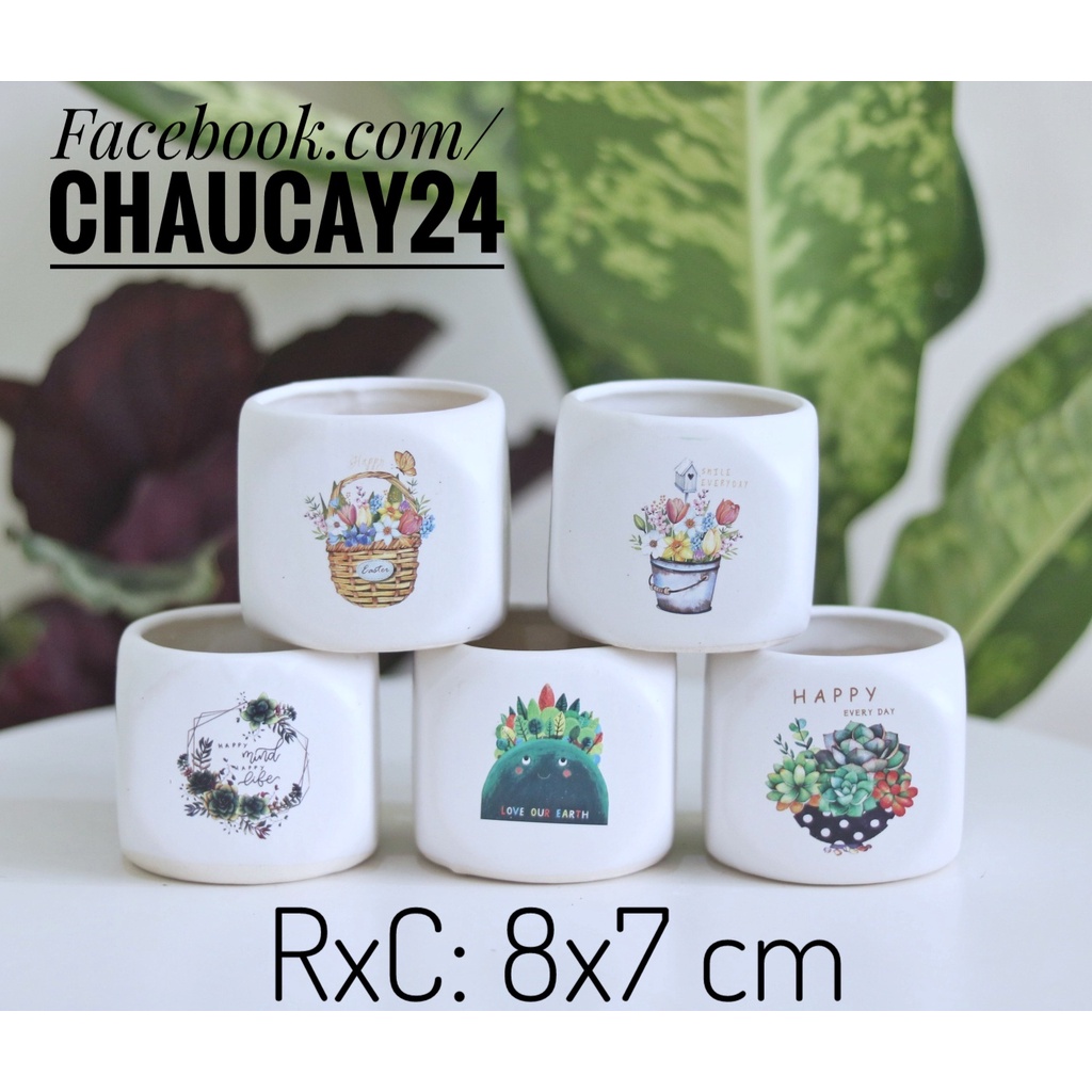 Chậu Cây Cảnh Hình Xí Ngầu Trồng Để Bàn, Cây Nội Thất, Sen Đá, Xương Rồng, Terrarium