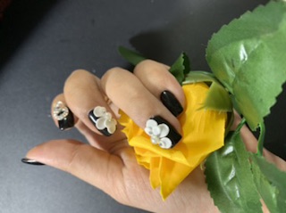Hoa bột cúc nữa móng ôm móng