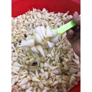 400g củ kiệu ngâm giấm đường chua ngọt rất giòn kiệu