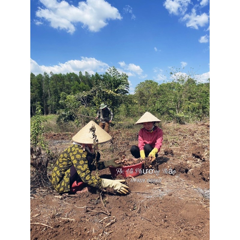 SỮA RỬA MẶT TINH HOA NGHỆ MOM SHIN 100ML | Vũ Phương Thảo Mom Shin | Shop Mẹ Thảo | Ở Cữ Mẹ Shin Min Gin