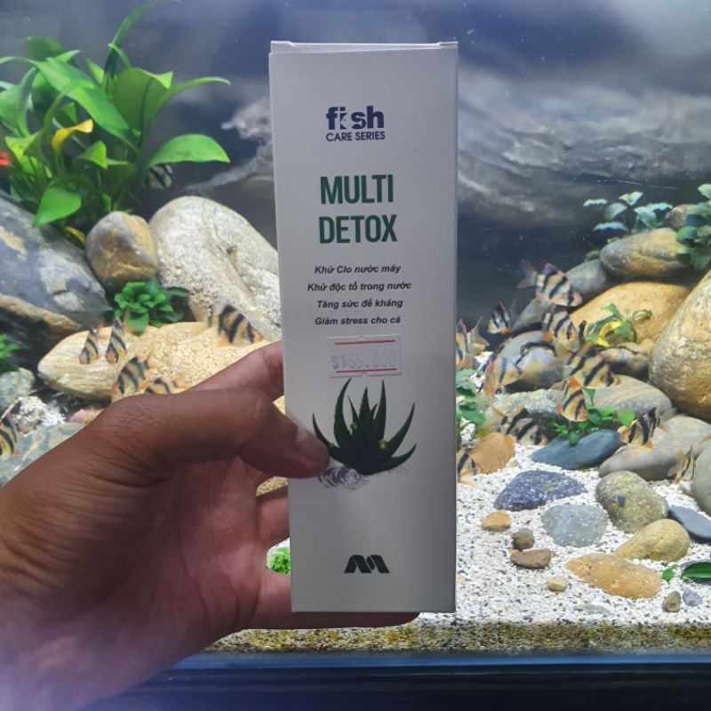 Tổng Hợp Vi Sinh Hãng Multi Bio Làm Trong Nước Nhanh Cho Hồ Thủy Sinh Và Cá Cảnh - Multi bio