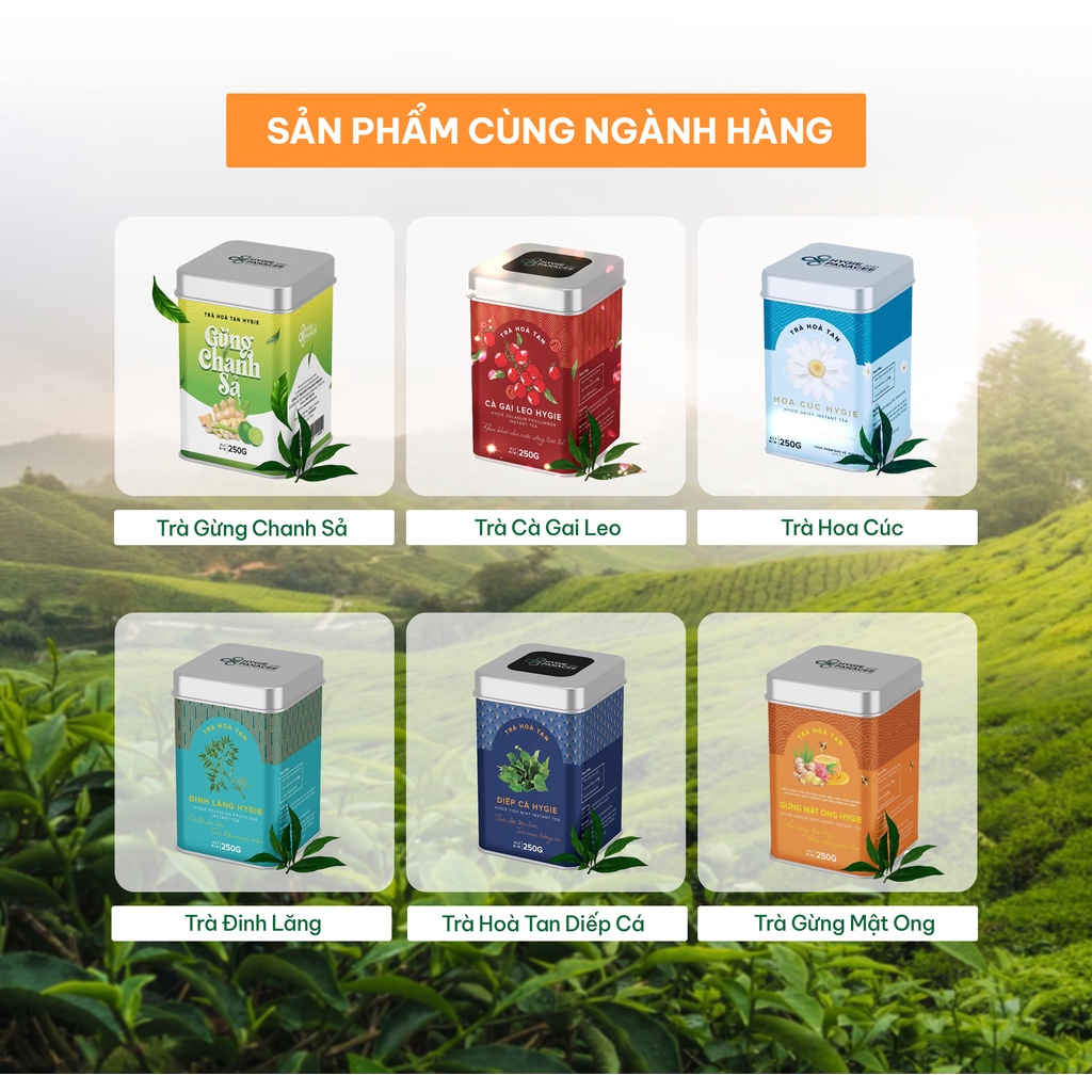 Trà Sâm Bí Đao Hygie 50g/250g thanh nhiệt, giảm cảm giác thèm ăn