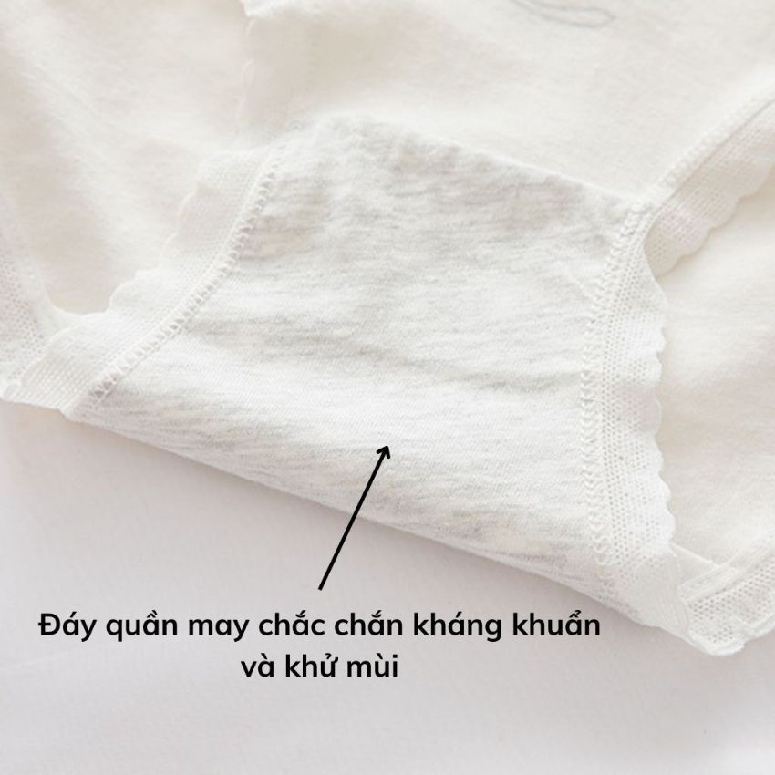 Quần lót nữ  Cotton ren viền Cao Cấp kháng khuẩn xuất nhật, họa tiết đẹp và dễ thương L0133