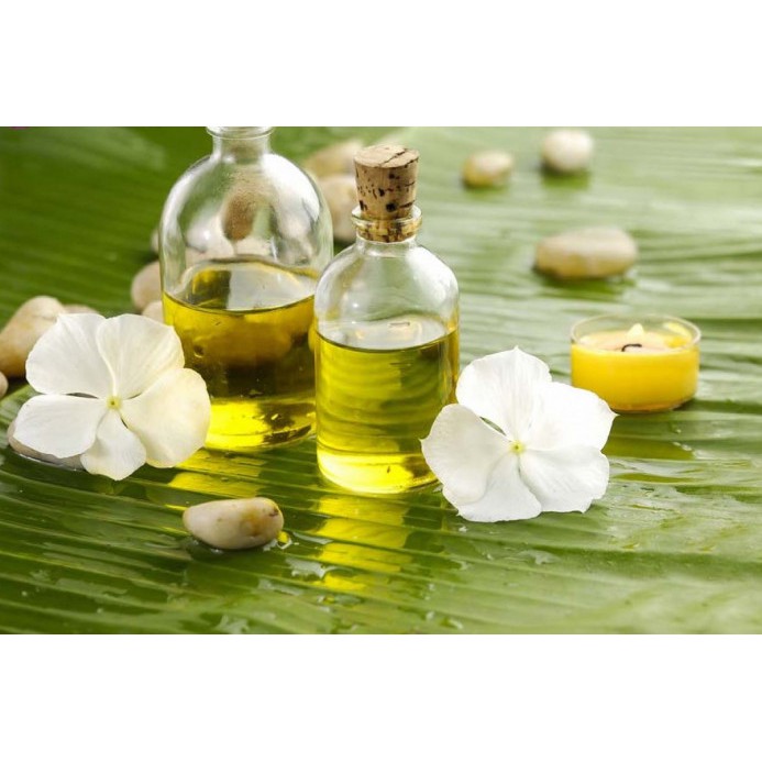 Dầu mù u xanh 50ml | BigBuy360 - bigbuy360.vn