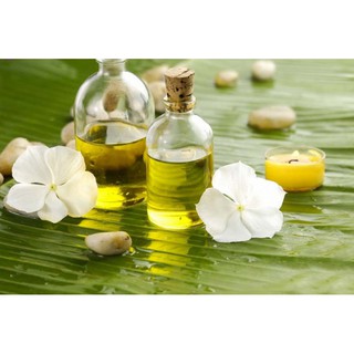 Dầu mù u xanh 50ml