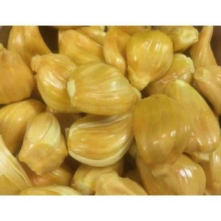 Cây Giống Mít Dai