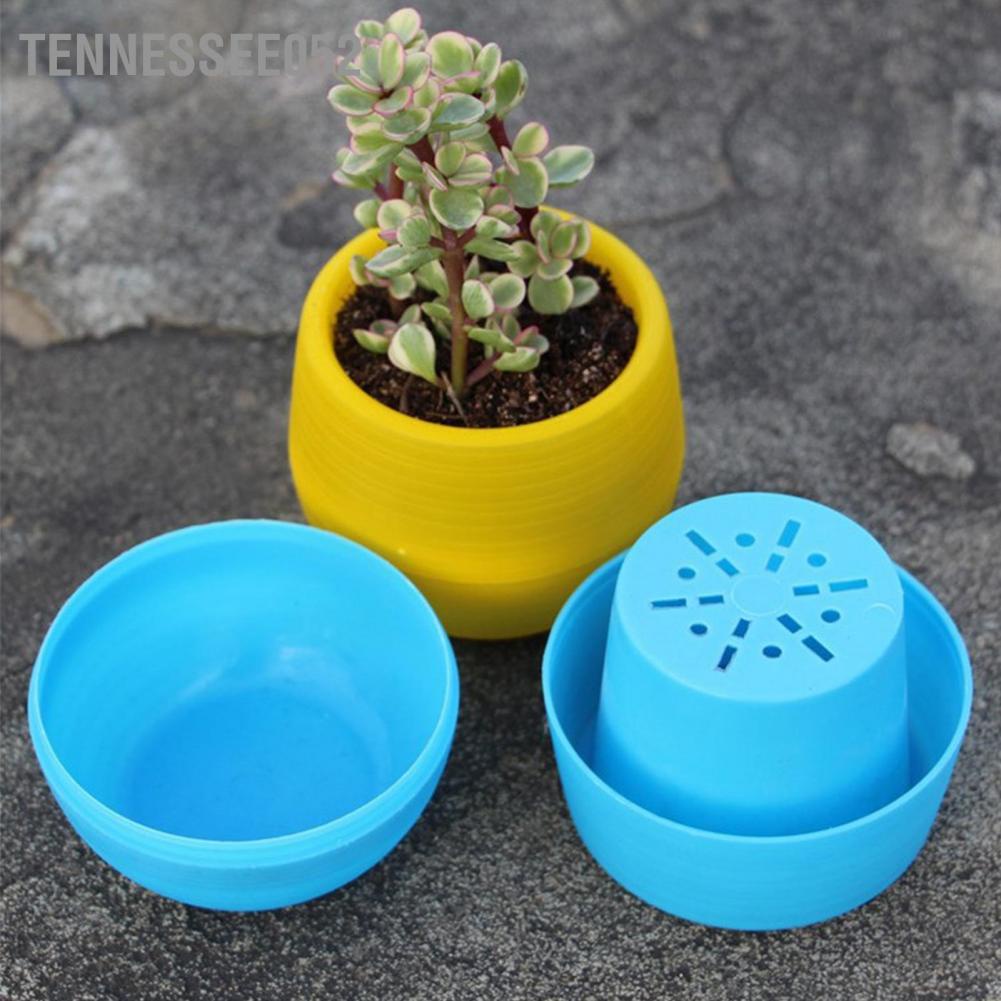 Tennessee052 Succulent Pot Mini Seedling Flower Container Plastic for Garden Courtyard Balcony