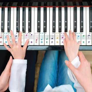 Nhãn dán bàn phím đàn Piano trong suốt 25 / 49 / 54 / 61 / 88 màu
