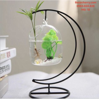 Bể cá mini cung trăng 18 ( Tặng kèm phụ kiện trang trí )
