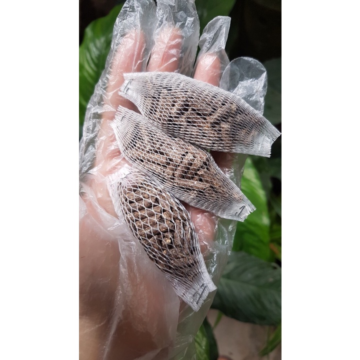 [Giá hủy diệt] 1 túi lưới phân dơi cung cấp dưởng chất cho cây phát triên từ nhỏ đến lớn chỉ 1 ngàn đồng sài 6 tháng