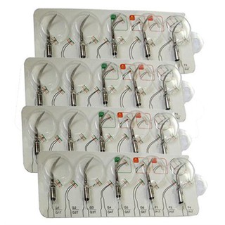 S1000002628 - Mũi lấy cao Woodpecker P1 chuyên dụng