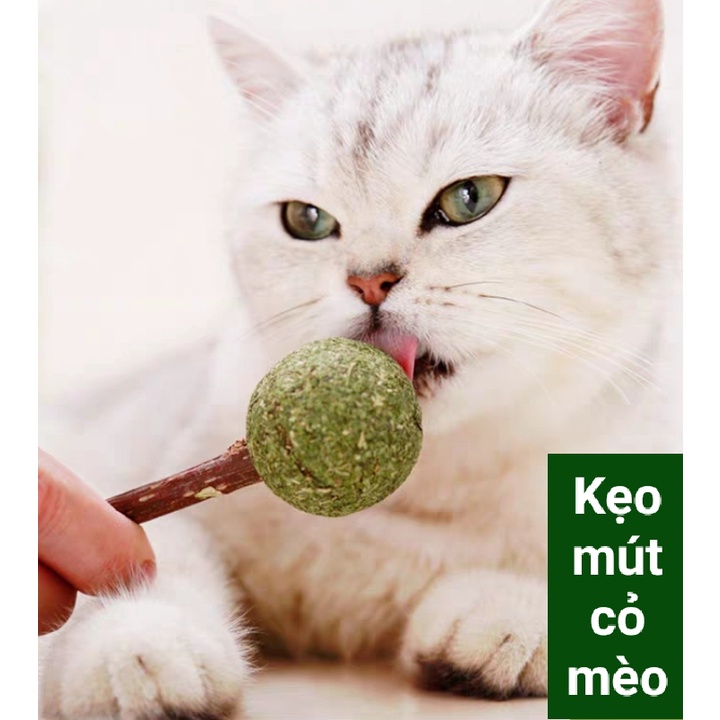 Kẹo mút cỏ mèo Catnip - Rạch Răng Thơm Miệng và Giảm căng thẳng cho mèo