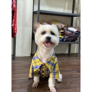 Áo Sơmi kẻ cho chó mèo