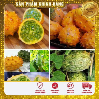 Hạt giống Dưa Sừng ngon+lạ+dễ trồng