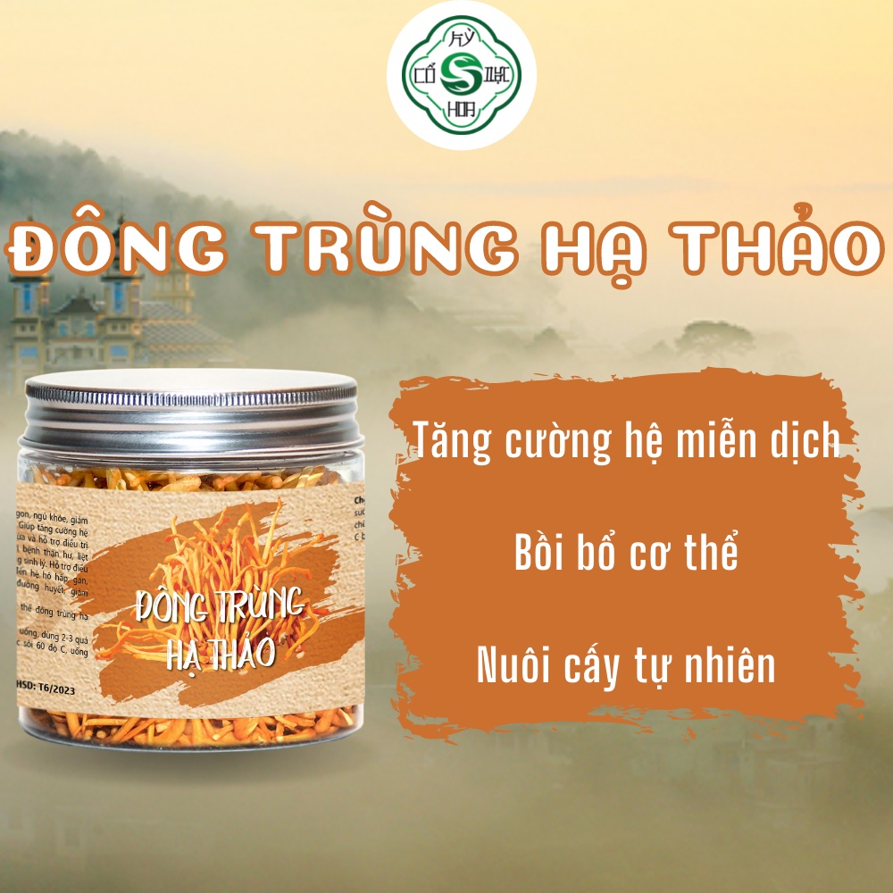 Đông trùng hạ thảo - linh chi true natural tăng sức đề kháng ngủ sâu giấc Cổ dược Kỳ Hoa