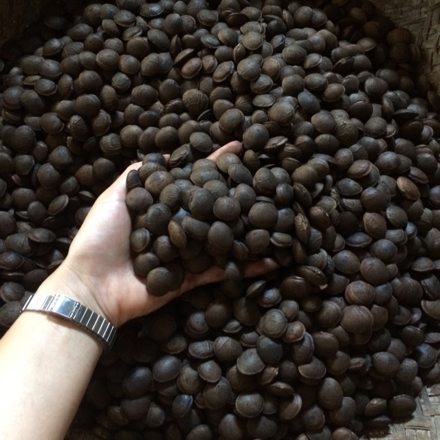 Hạt SACHI rang mộc