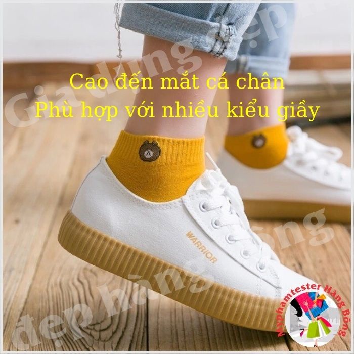 Túi 10 đôi tất gấu cotton co giãn cho bạn gái